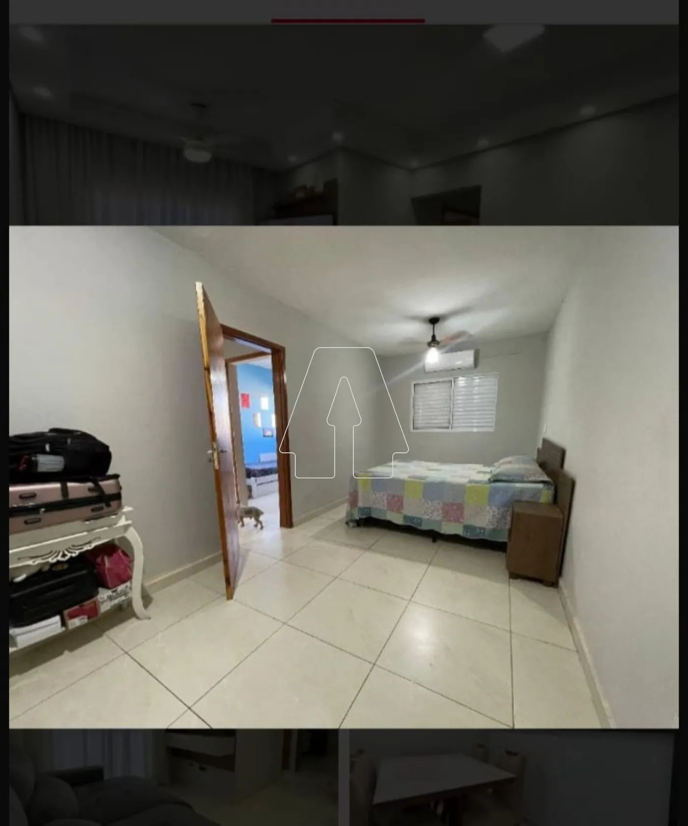 Alugar Apartamento / Padrão em Araçatuba R$ 980,00 - Foto 6