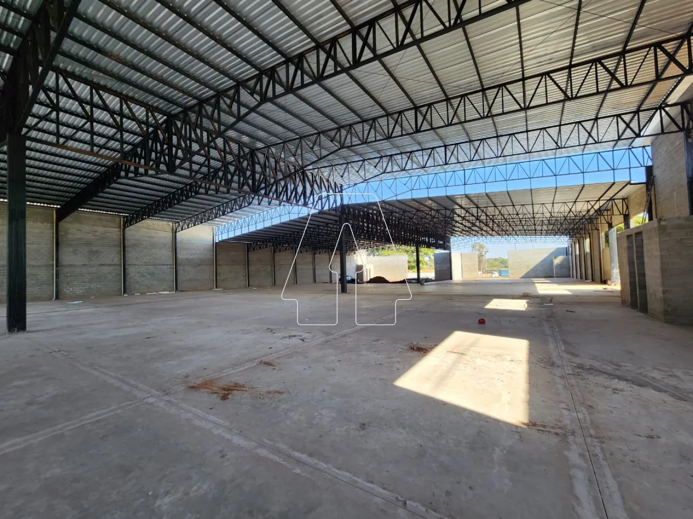 Comprar Comercial / Barracão em Araçatuba - Foto 3
