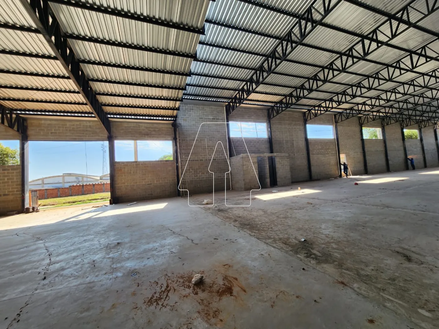 Comprar Comercial / Barracão em Araçatuba - Foto 7