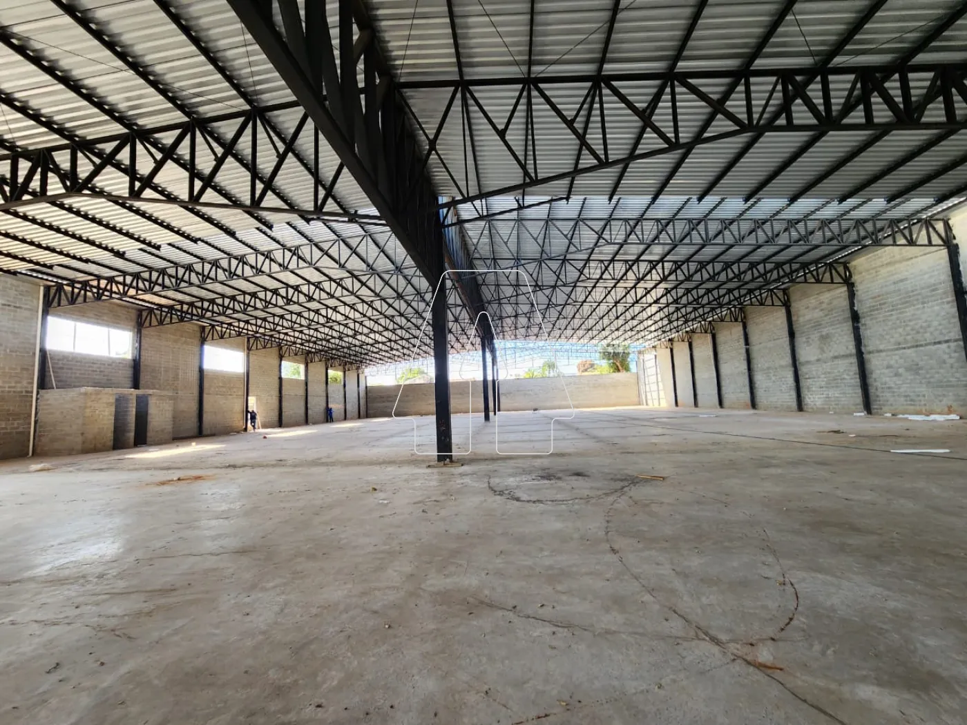 Comprar Comercial / Barracão em Araçatuba - Foto 4