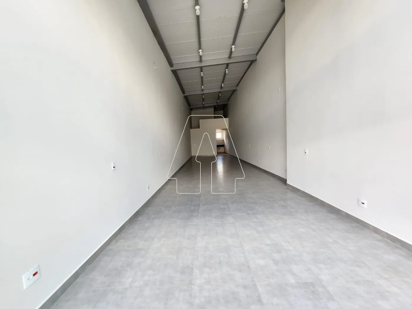Alugar Comercial / Salão em Araçatuba R$ 3.500,00 - Foto 6