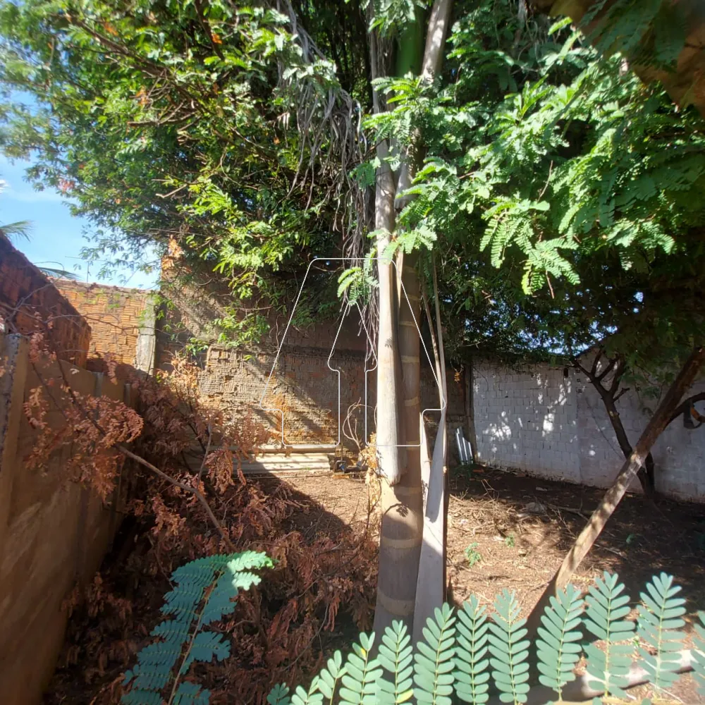 Comprar Casa / Residencial em Araçatuba R$ 110.000,00 - Foto 9