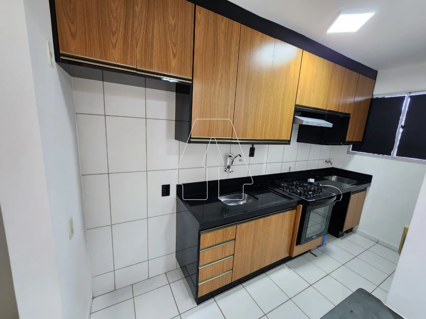Alugar Apartamento / Padrão em Araçatuba R$ 1.400,00 - Foto 4