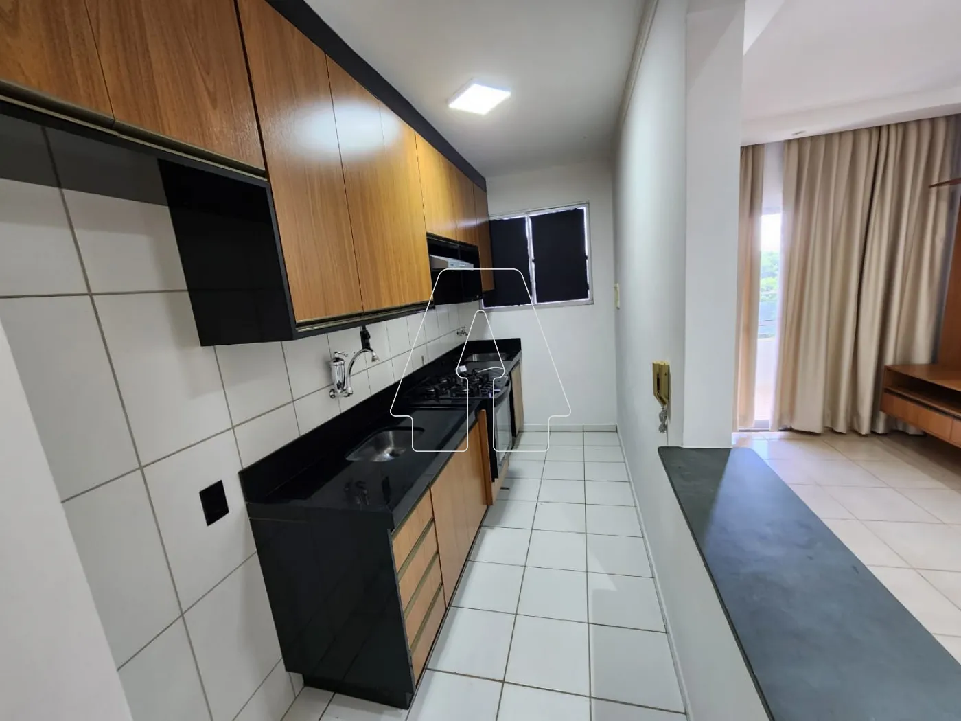 Alugar Apartamento / Padrão em Araçatuba R$ 1.400,00 - Foto 5