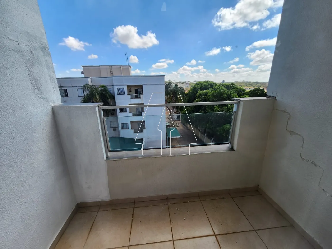 Alugar Apartamento / Padrão em Araçatuba R$ 1.400,00 - Foto 3