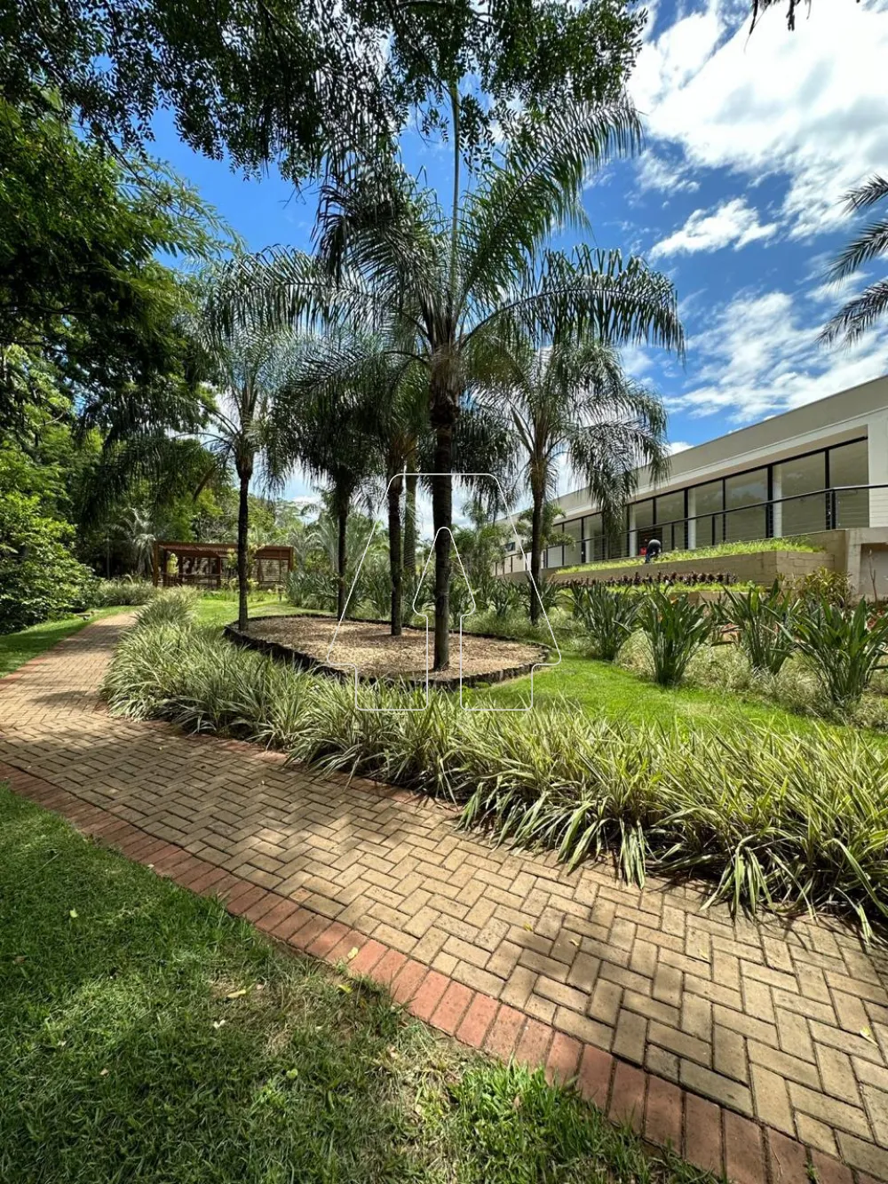 Comprar Terreno / Condomínio em Araçatuba R$ 295.000,00 - Foto 2