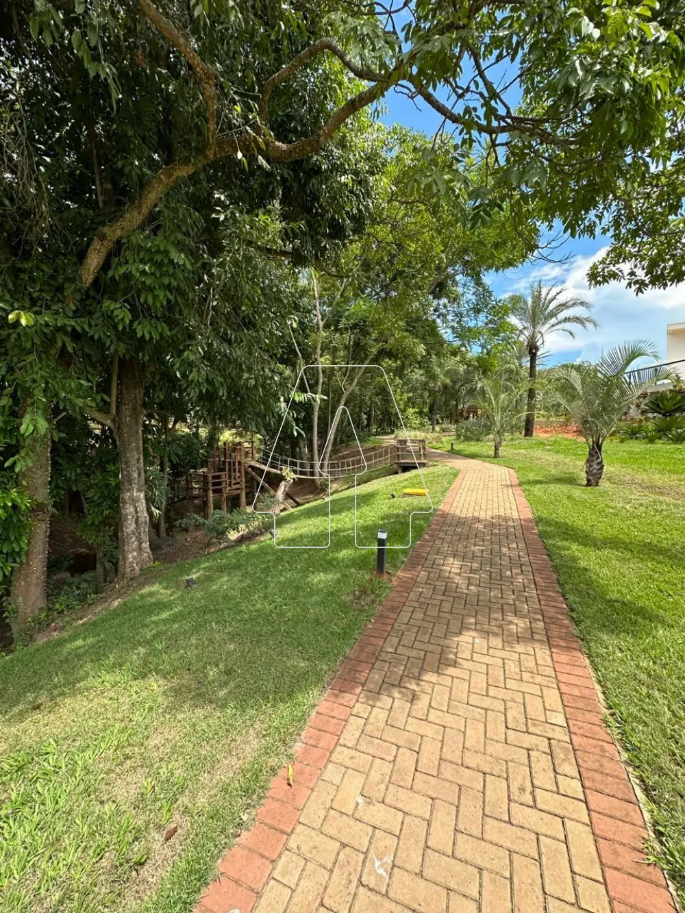 Comprar Terreno / Condomínio em Araçatuba R$ 295.000,00 - Foto 3