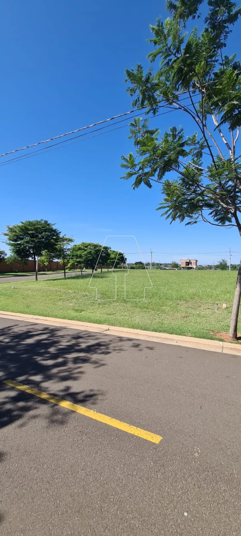 Comprar Terreno / Padrão em Araçatuba R$ 500.000,00 - Foto 5