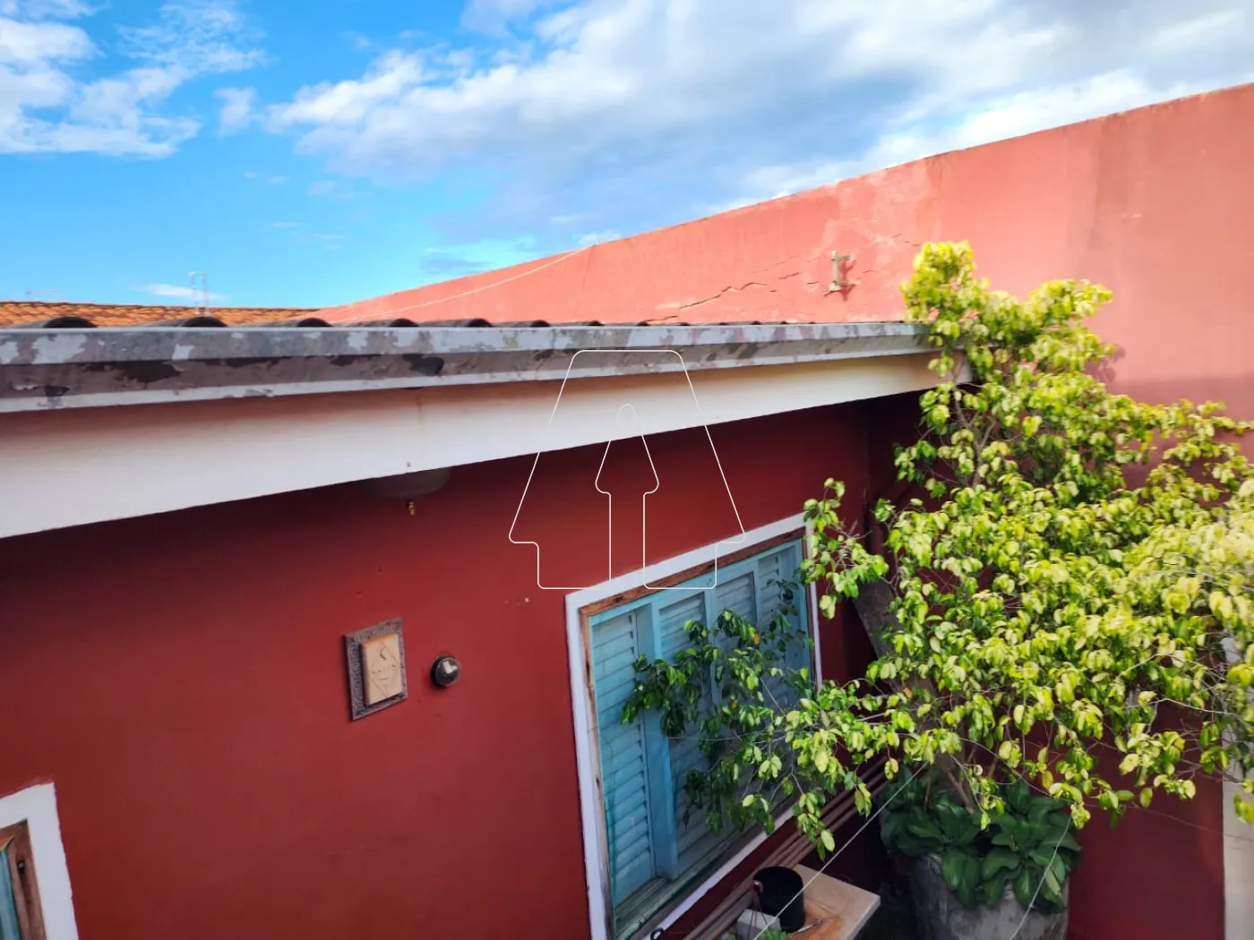 Comprar Casa / Residencial em Araçatuba R$ 450.000,00 - Foto 14