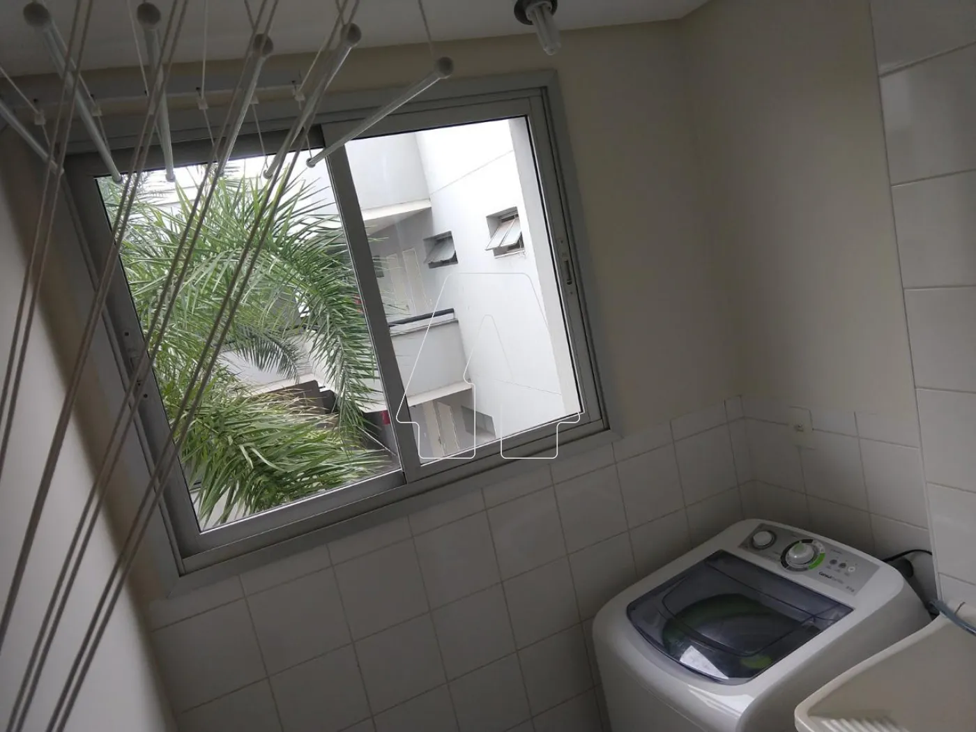 Alugar Apartamento / Padrão em Araçatuba R$ 1.250,00 - Foto 6