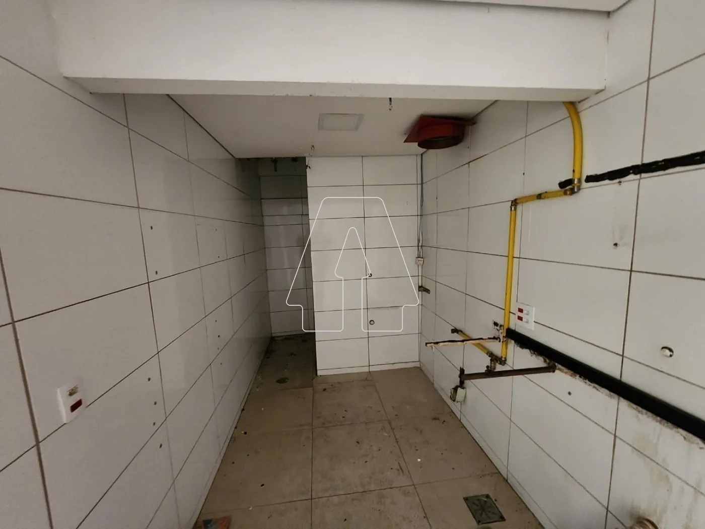 Alugar Comercial / Loja em Araçatuba R$ 10.500,00 - Foto 4