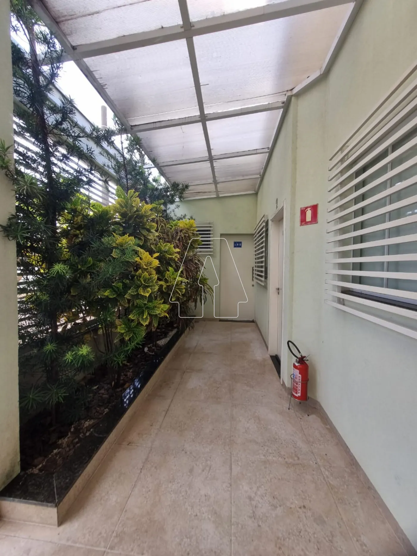 Alugar Comercial / Sala em Araçatuba R$ 575,00 - Foto 5