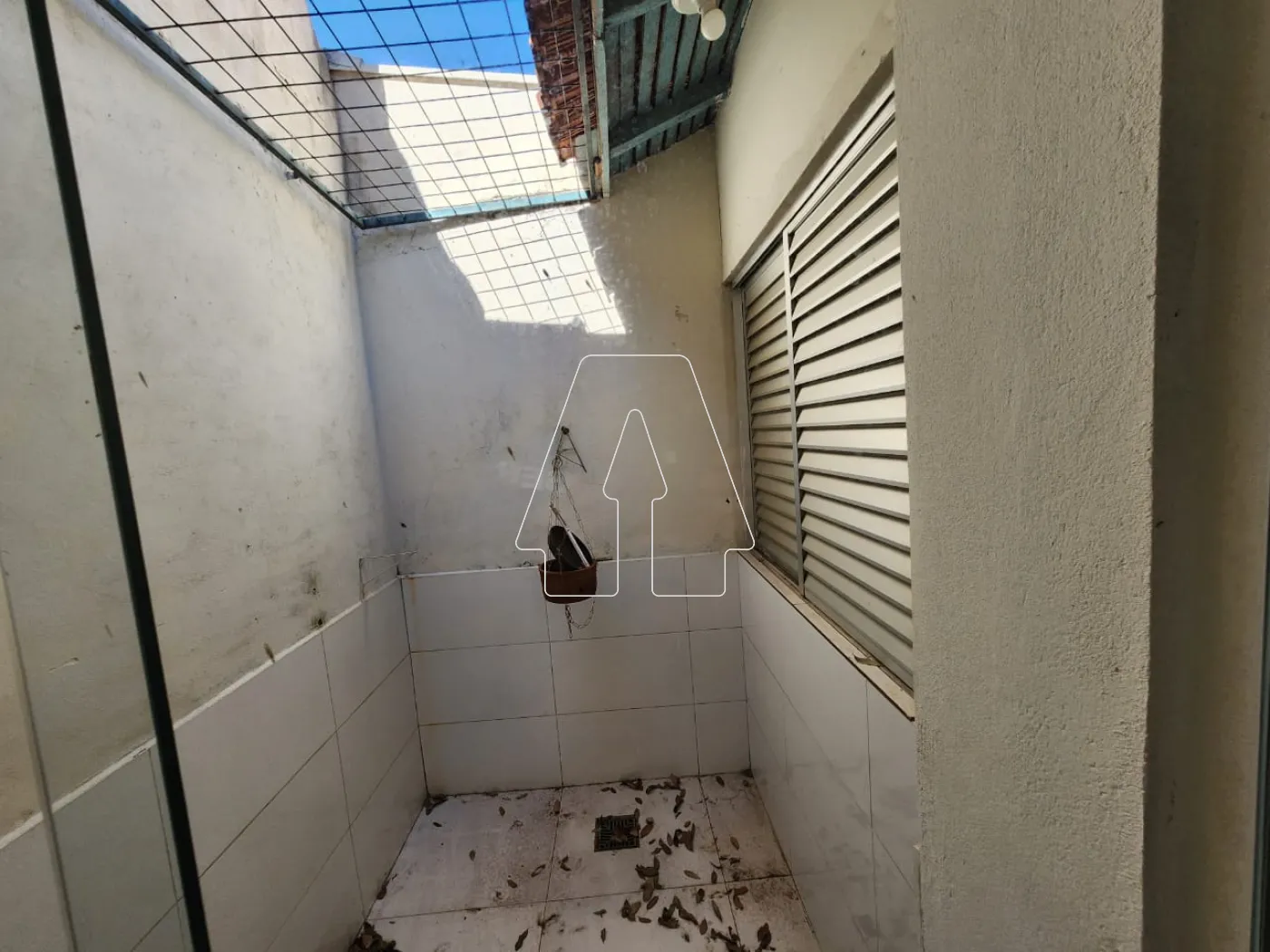 Alugar Casa / Residencial em Araçatuba R$ 1.100,00 - Foto 7