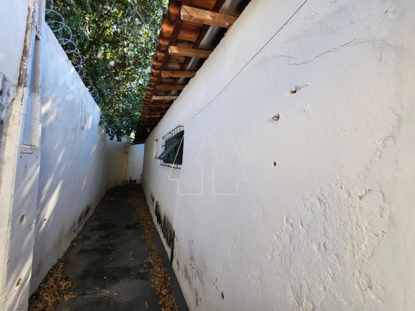 Alugar Casa / Residencial em Araçatuba R$ 1.100,00 - Foto 8