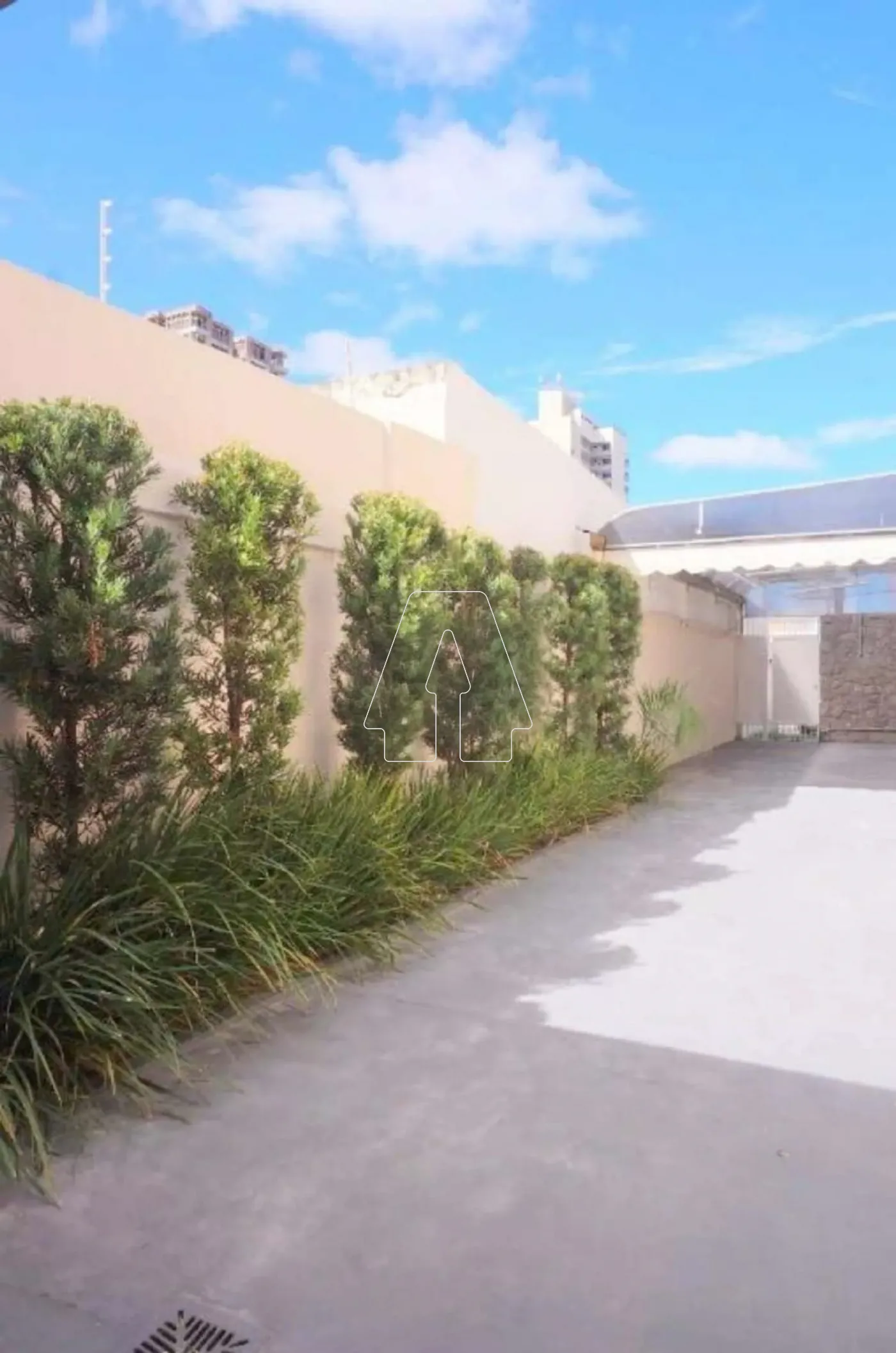 Alugar Comercial / Casa em Araçatuba R$ 9.000,00 - Foto 21