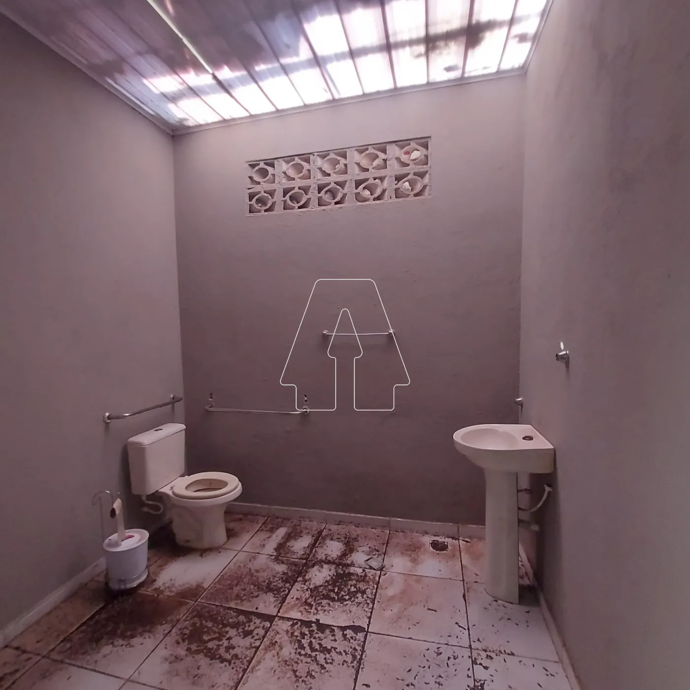 Alugar Comercial / Salão em Araçatuba R$ 3.000,00 - Foto 3