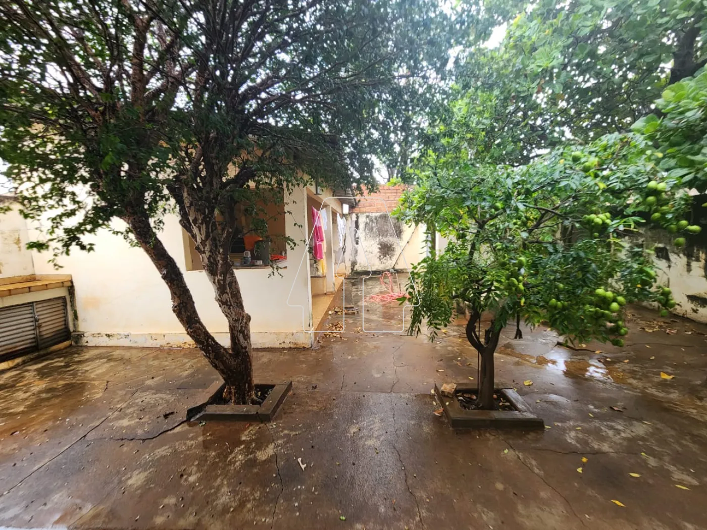 Alugar Casa / Residencial em Araçatuba R$ 1.700,00 - Foto 10