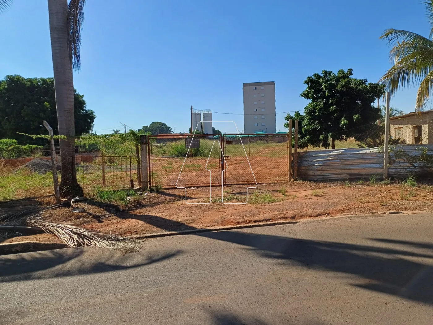 Alugar Rural / Chácara em Araçatuba R$ 3.000,00 - Foto 2
