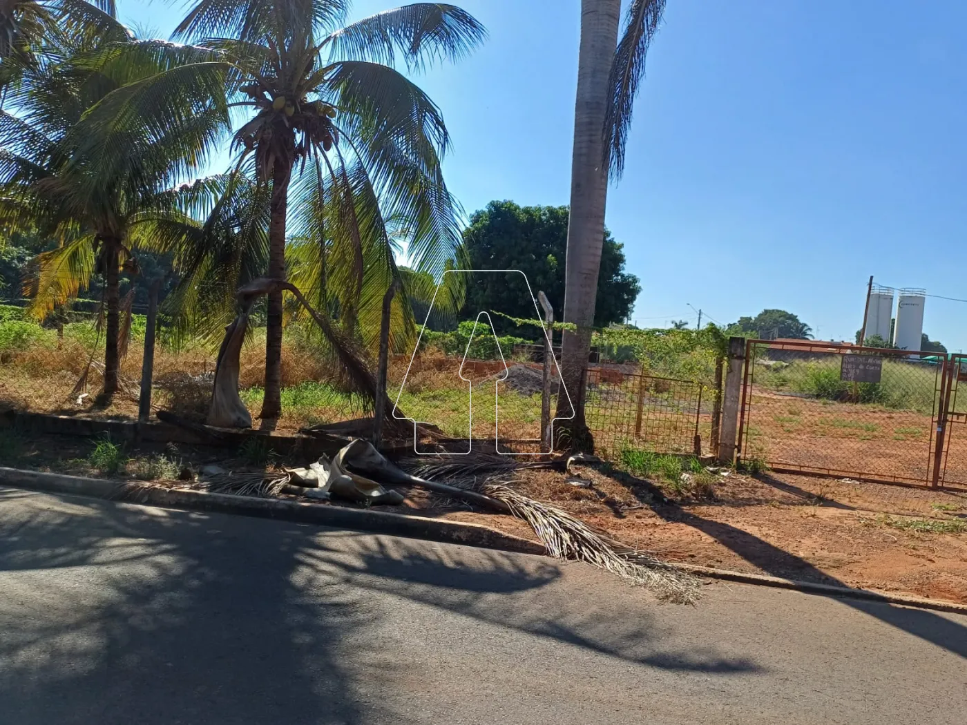 Alugar Rural / Chácara em Araçatuba R$ 3.000,00 - Foto 3