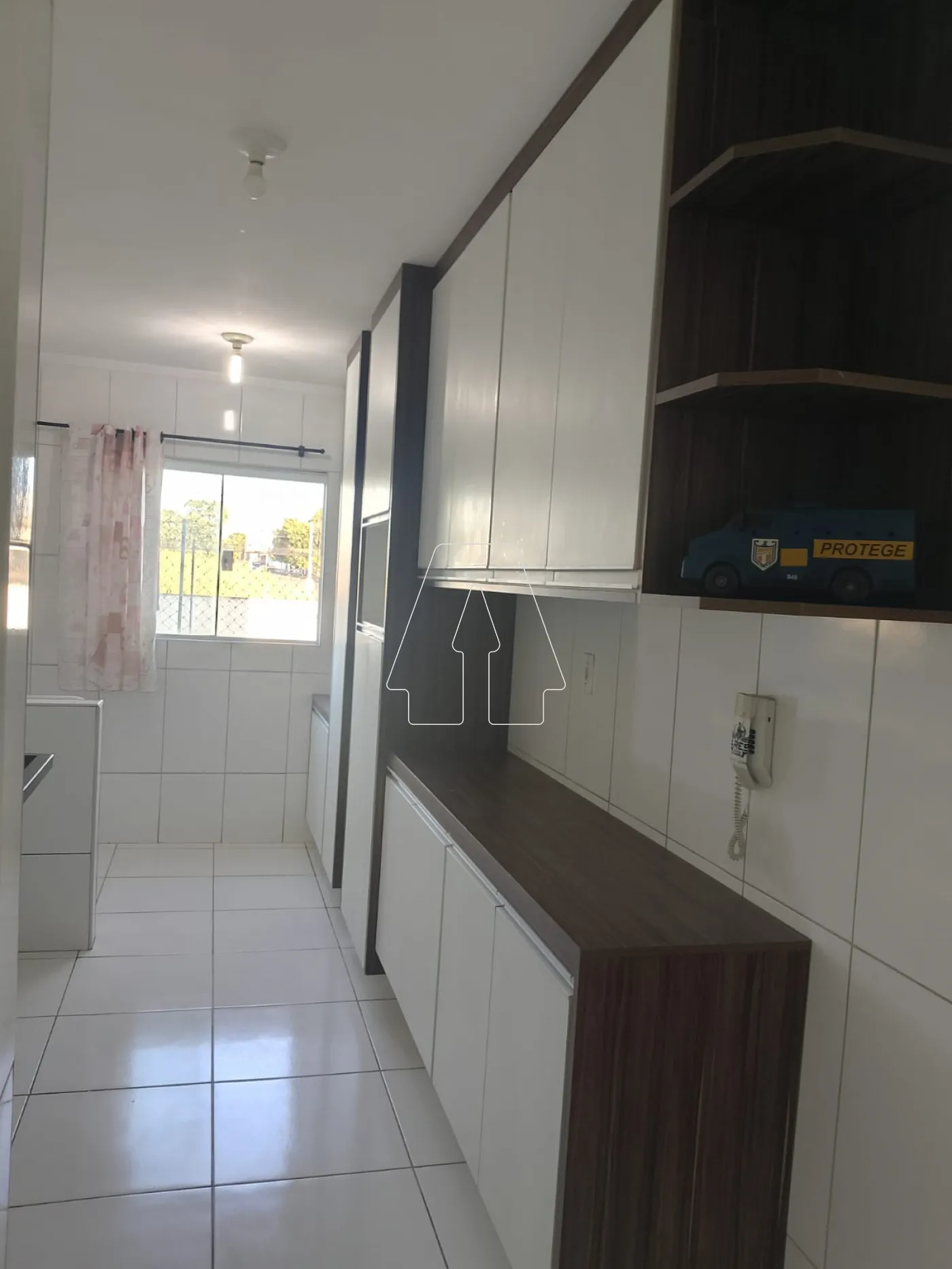 Alugar Apartamento / Padrão em Araçatuba R$ 1.300,00 - Foto 4