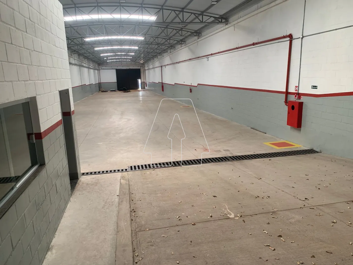 Alugar Comercial / Barracão em Araçatuba R$ 12.000,00 - Foto 2