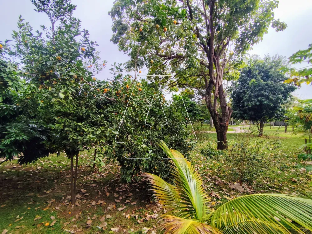 Comprar Casa / Condomínio em Araçatuba R$ 1.450.000,00 - Foto 16