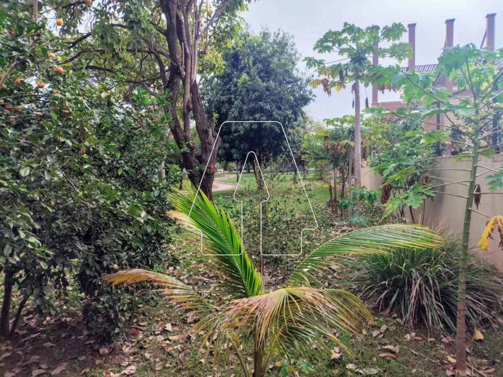 Comprar Casa / Condomínio em Araçatuba R$ 1.450.000,00 - Foto 19