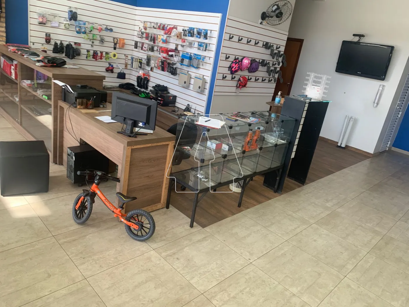 Alugar Comercial / Salão em Araçatuba R$ 7.500,00 - Foto 3