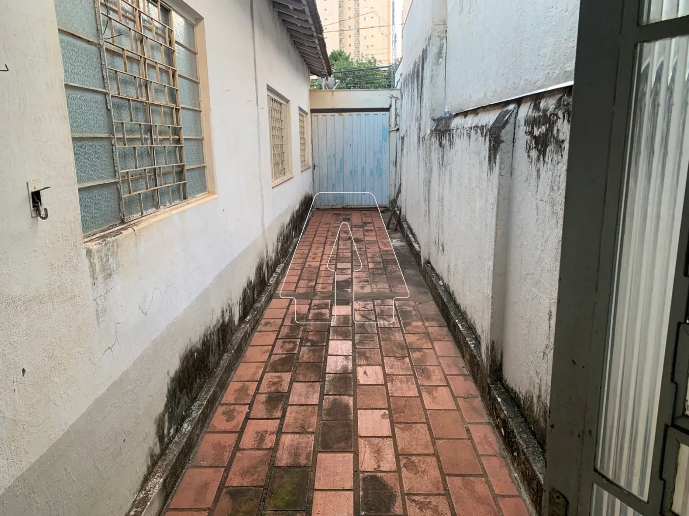 Comprar Casa / Residencial em Araçatuba R$ 350.000,00 - Foto 9