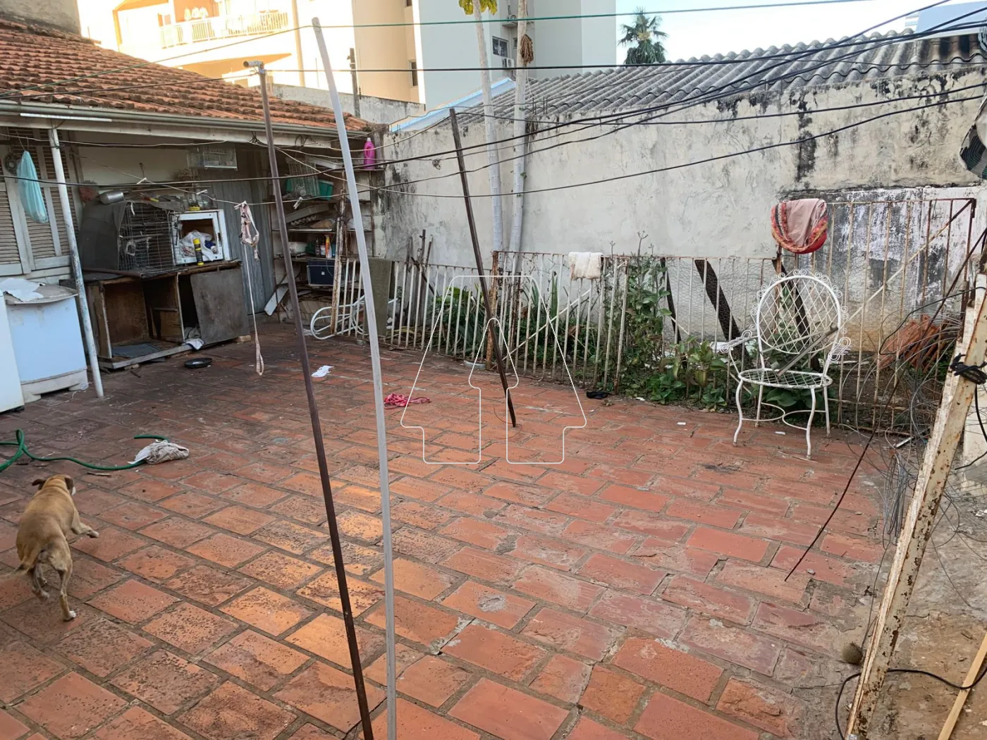 Comprar Casa / Residencial em Araçatuba R$ 350.000,00 - Foto 11