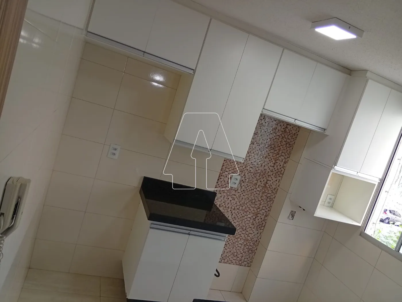 Alugar Apartamento / Padrão em Araçatuba R$ 1.500,00 - Foto 4