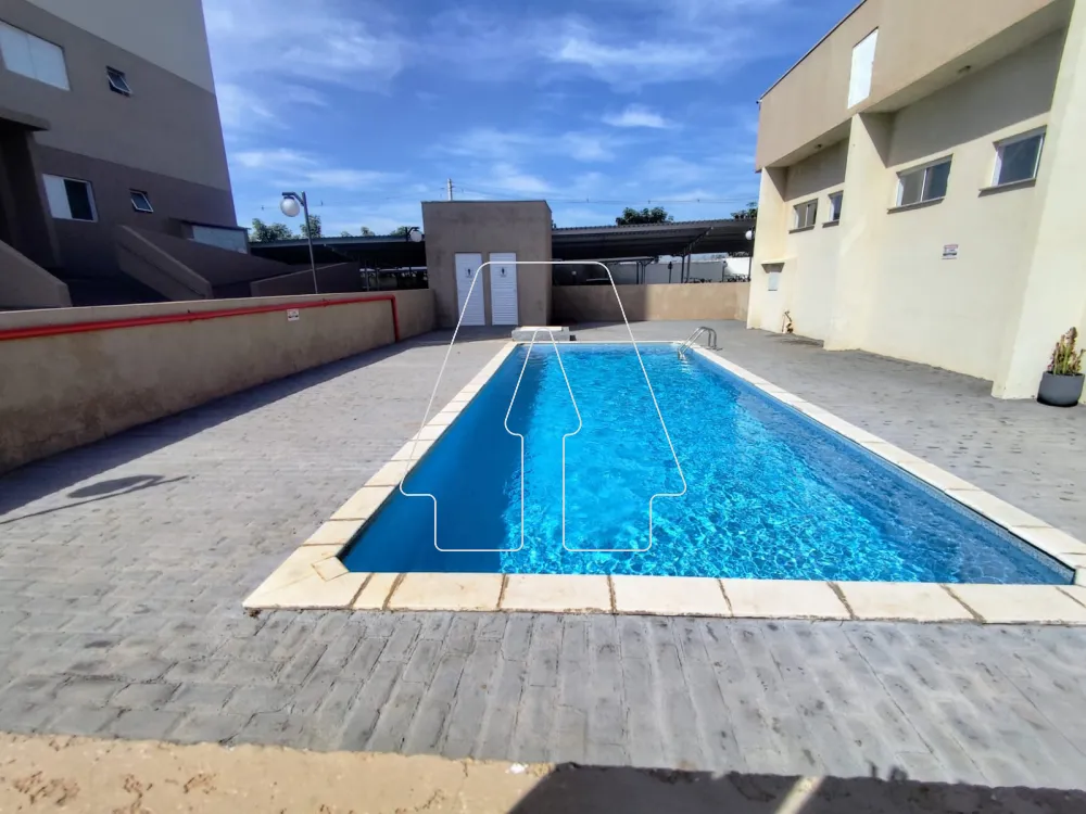 Comprar Apartamento / Padrão em Araçatuba R$ 295.000,00 - Foto 16