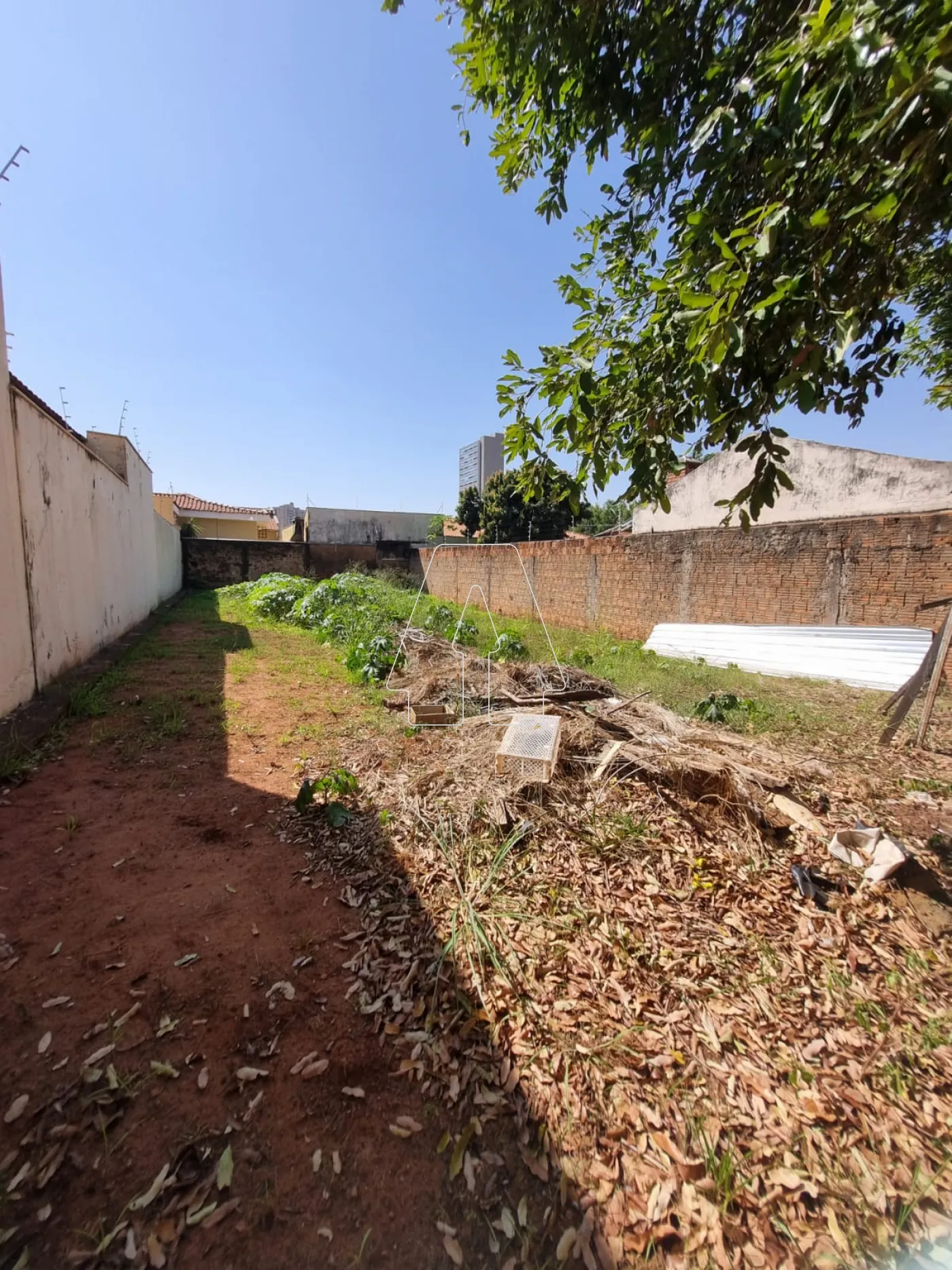 Alugar Terreno / Padrão em Araçatuba R$ 1.200,00 - Foto 2