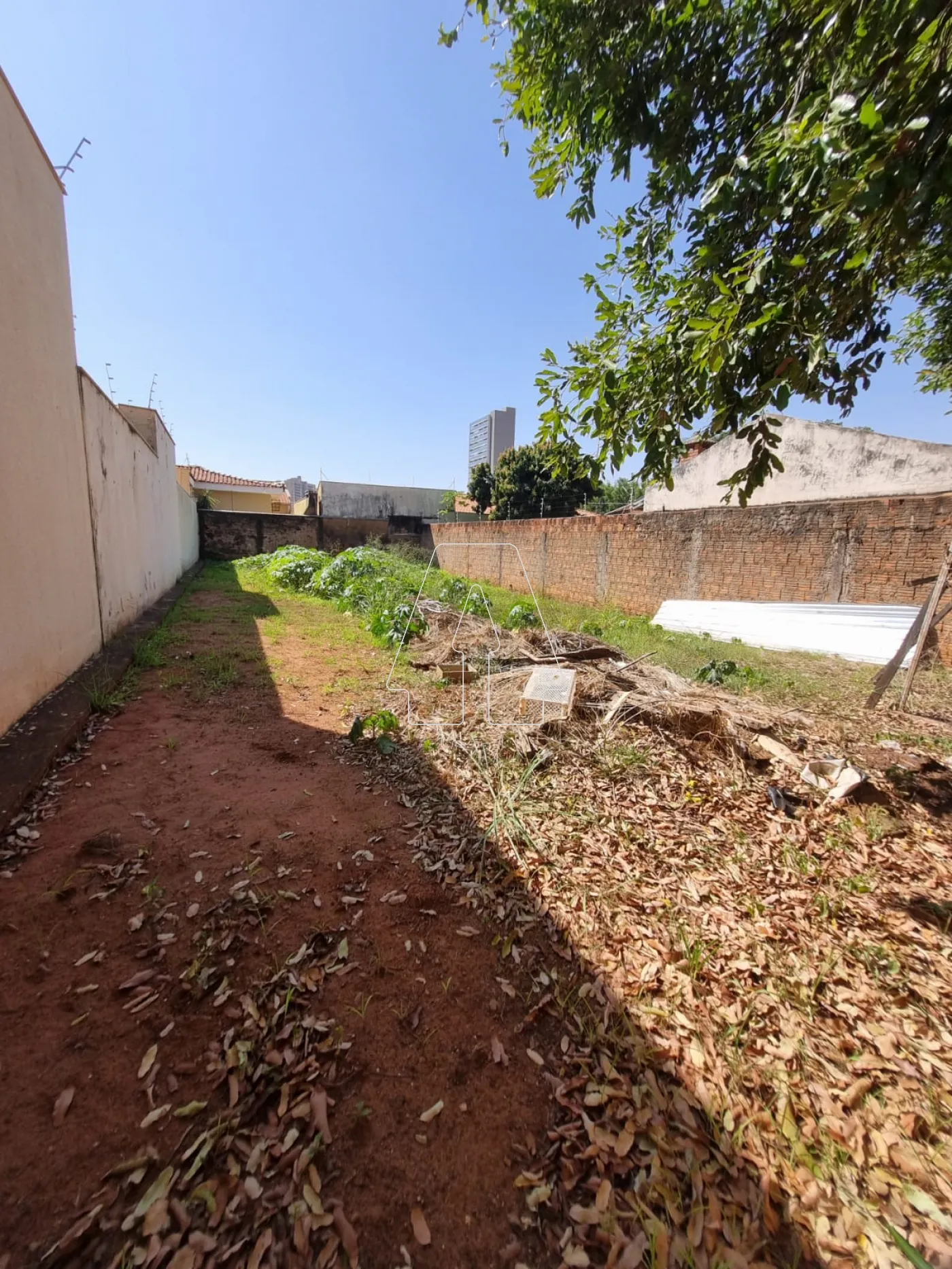 Alugar Terreno / Padrão em Araçatuba R$ 1.200,00 - Foto 3