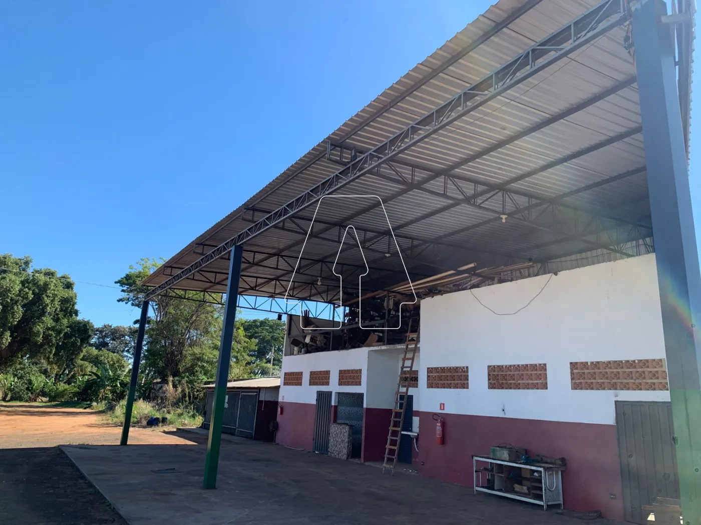 Alugar Comercial / Barracão em Araçatuba R$ 5.800,00 - Foto 4