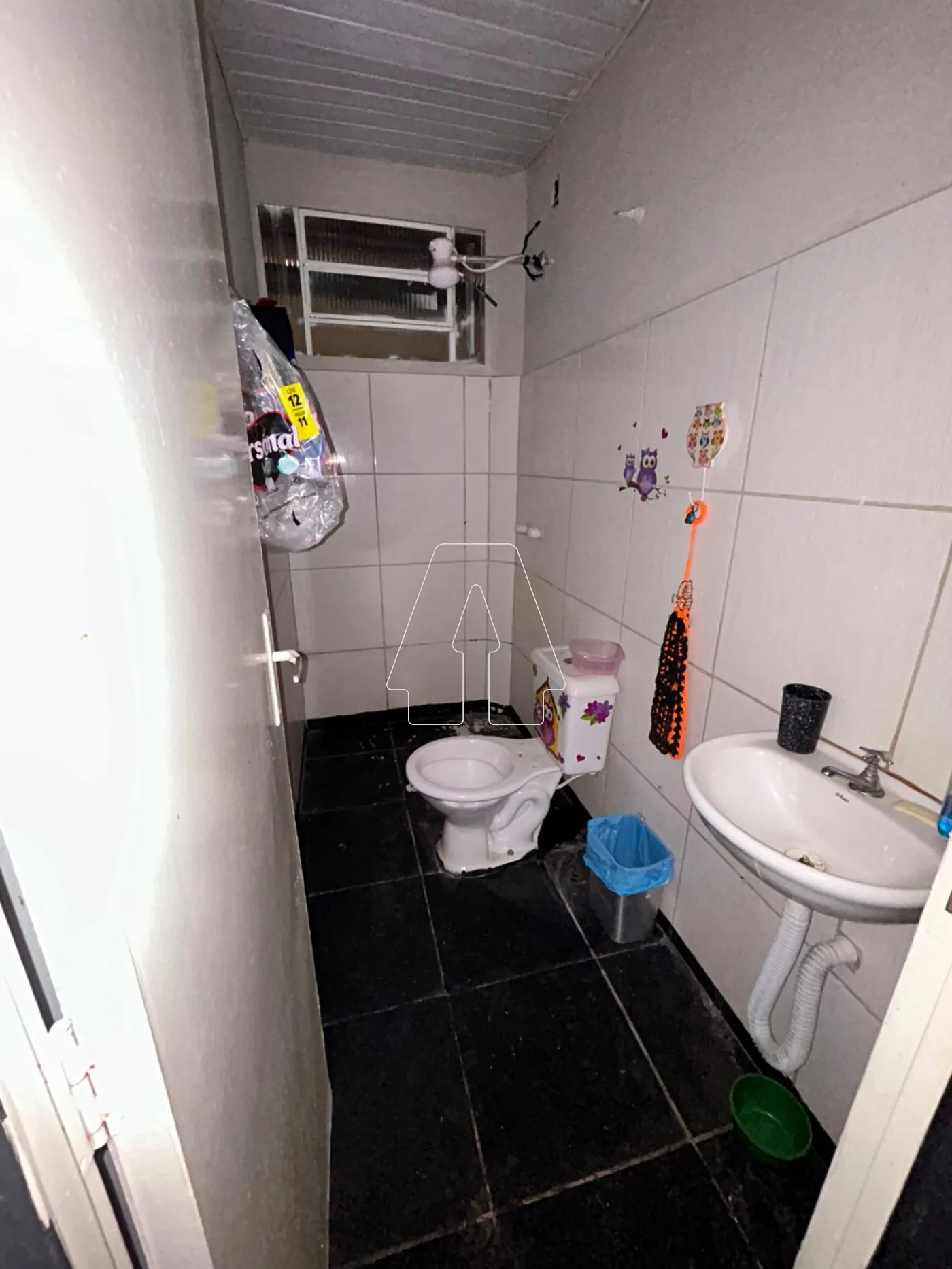 Alugar Casa / Residencial em Araçatuba R$ 1.050,00 - Foto 4