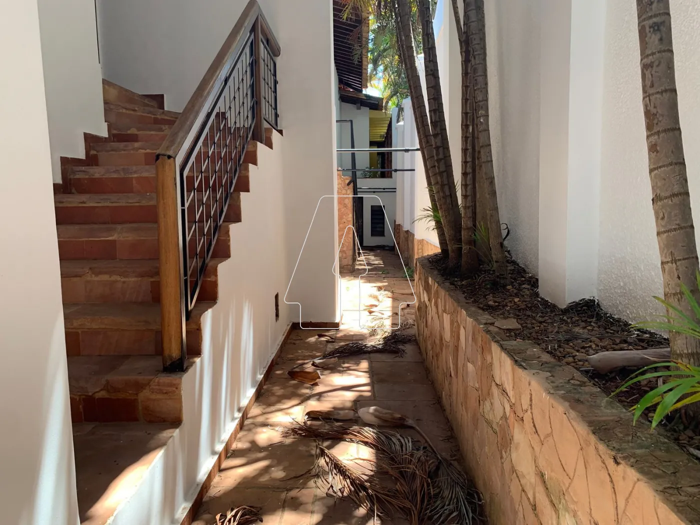 Alugar Comercial / Casa em Araçatuba R$ 8.000,00 - Foto 17