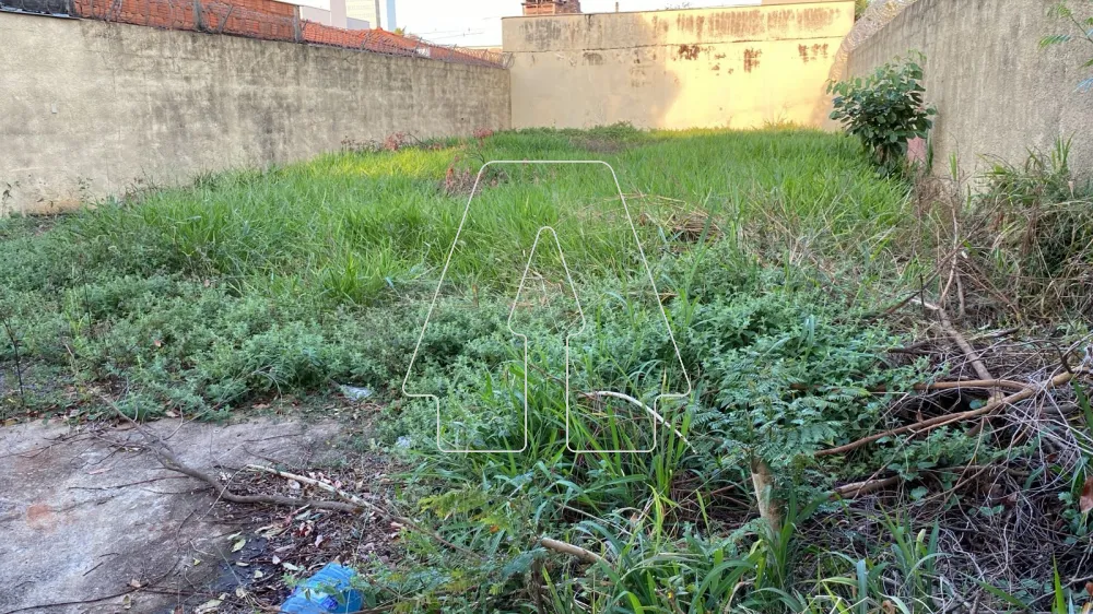 Comprar Terreno / Padrão em Araçatuba R$ 240.000,00 - Foto 1