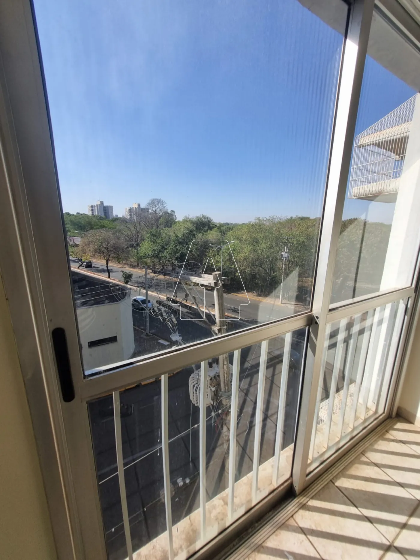Alugar Apartamento / Padrão em Araçatuba R$ 700,00 - Foto 3