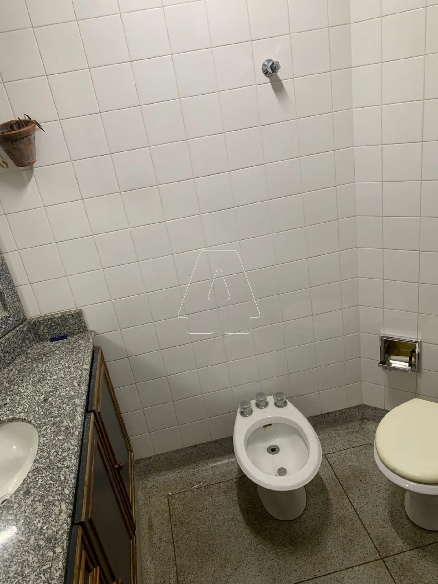Alugar Comercial / Salão em Araçatuba R$ 10.000,00 - Foto 15