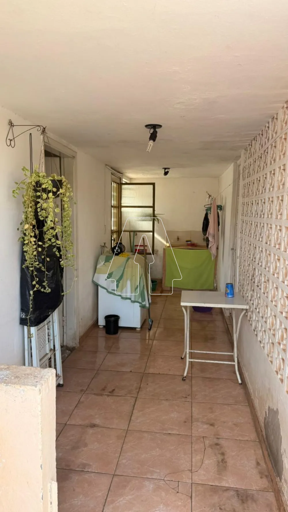 Comprar Casa / Residencial em Araçatuba R$ 330.000,00 - Foto 10