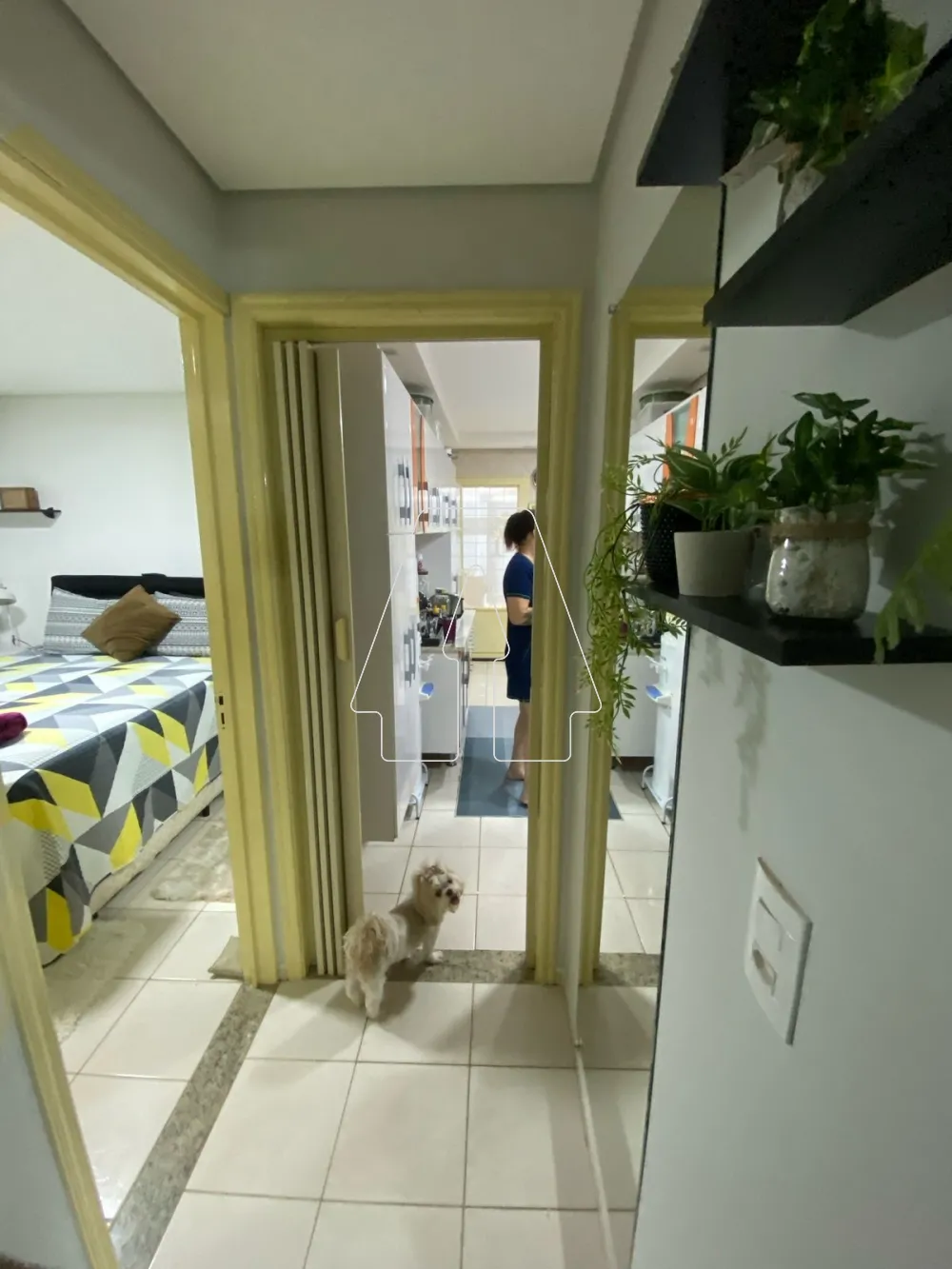 Comprar Casa / Residencial em Araçatuba R$ 300.000,00 - Foto 13