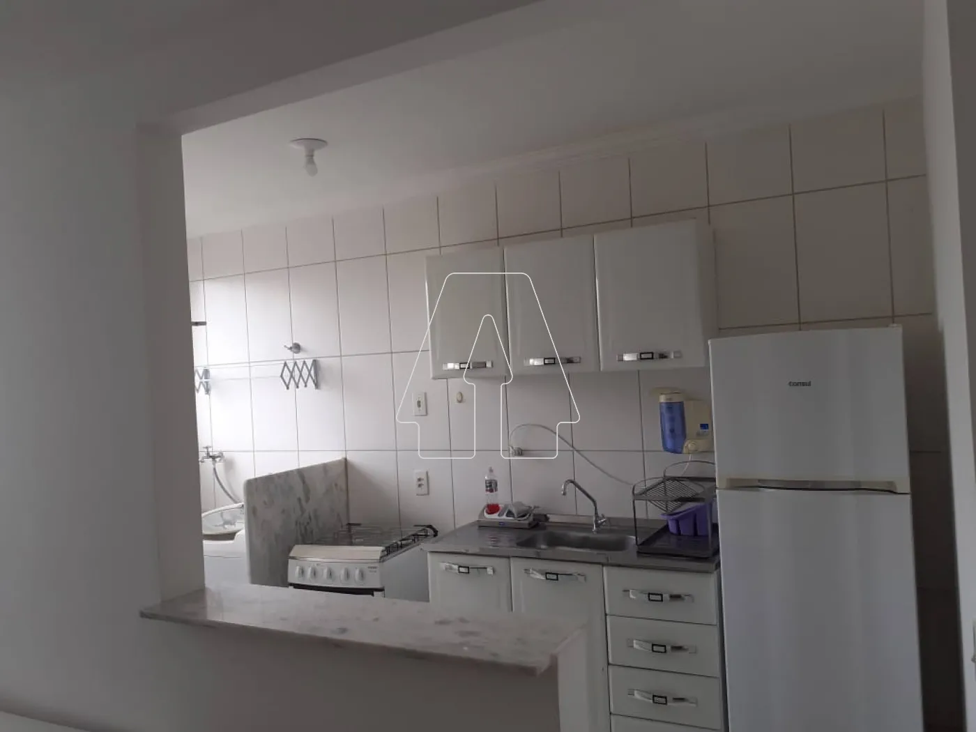 Alugar Apartamento / Padrão em Araçatuba R$ 1.300,00 - Foto 3