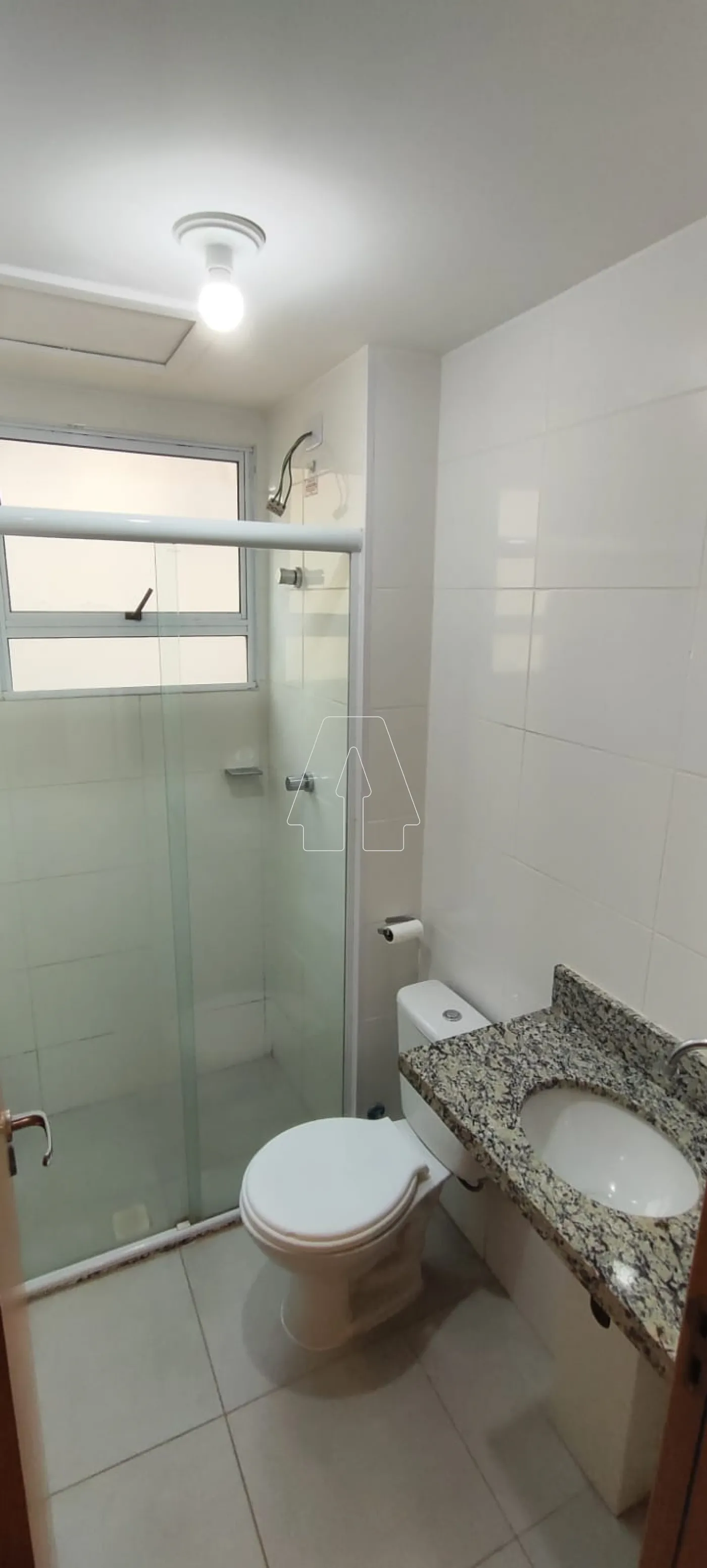 Alugar Apartamento / Padrão em Araçatuba R$ 1.250,00 - Foto 7