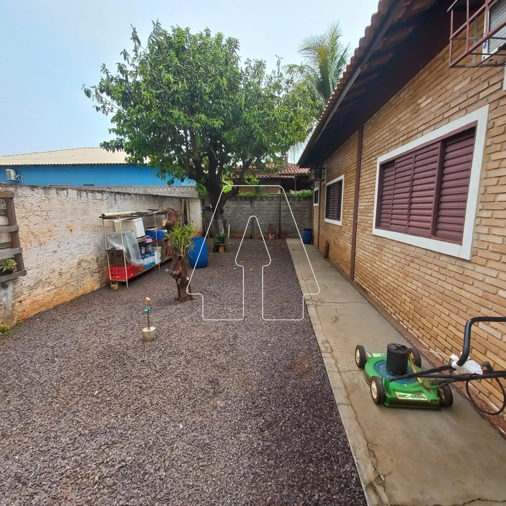 Comprar Rural / Rancho em Santo Antônio do Aracanguá R$ 420.000,00 - Foto 15