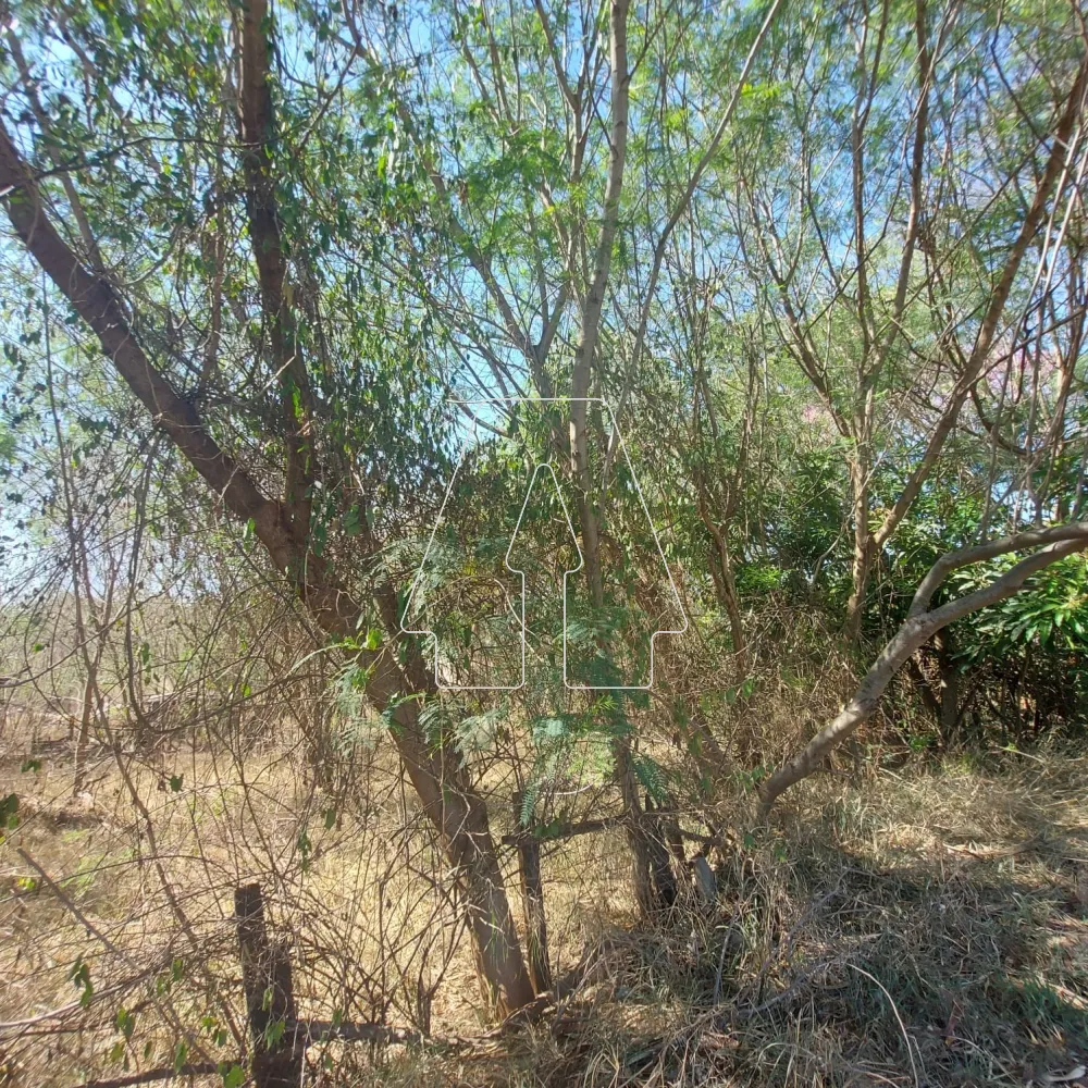 Comprar Terreno / Área em Araçatuba R$ 1.620.000,00 - Foto 3