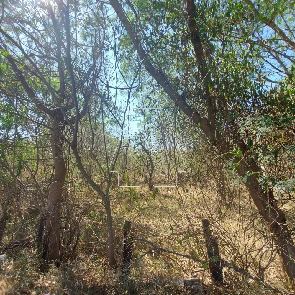 Comprar Terreno / Área em Araçatuba R$ 1.620.000,00 - Foto 4
