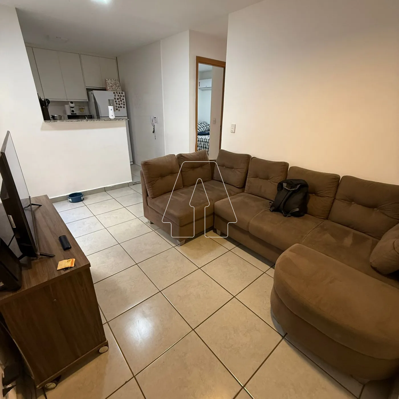 Alugar Apartamento / Padrão em Araçatuba R$ 1.600,00 - Foto 1