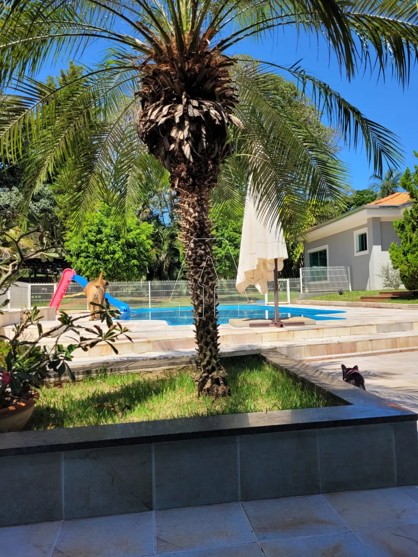 Alugar Casa / Condomínio em Birigüi R$ 11.000,00 - Foto 14