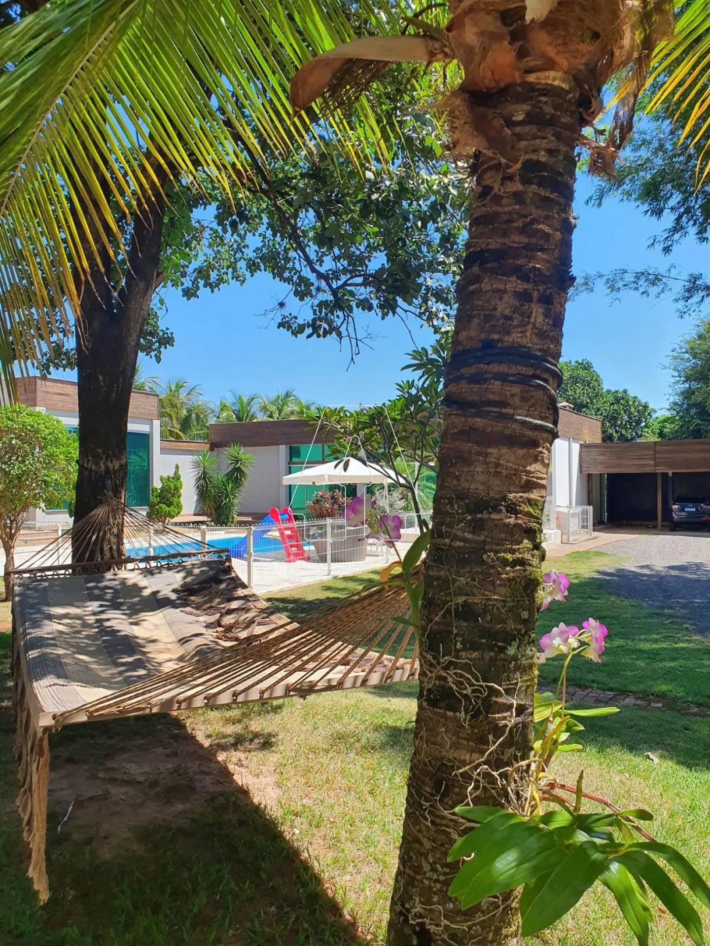 Alugar Casa / Condomínio em Birigüi R$ 11.000,00 - Foto 13